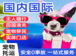文山砚山航空快运国际宠物托运 【国